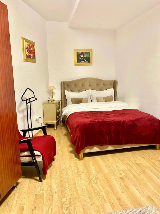 Studio Panoramic With Balcony And Parcul Unirii View Alba Iulia Buitenkant foto