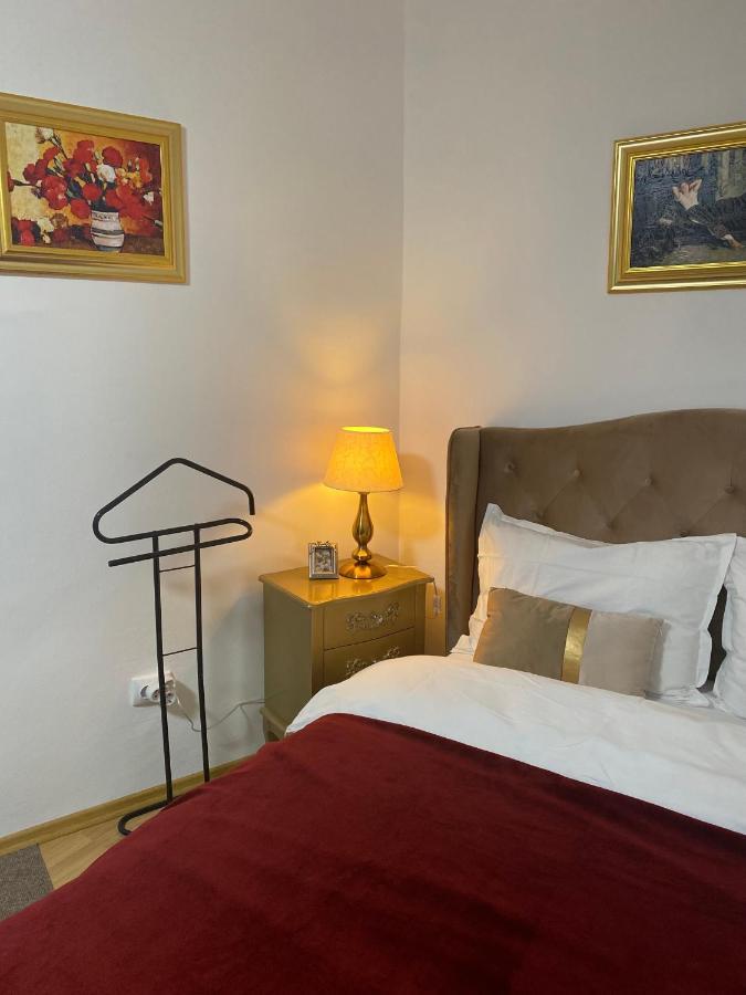 Studio Panoramic With Balcony And Parcul Unirii View Alba Iulia Buitenkant foto