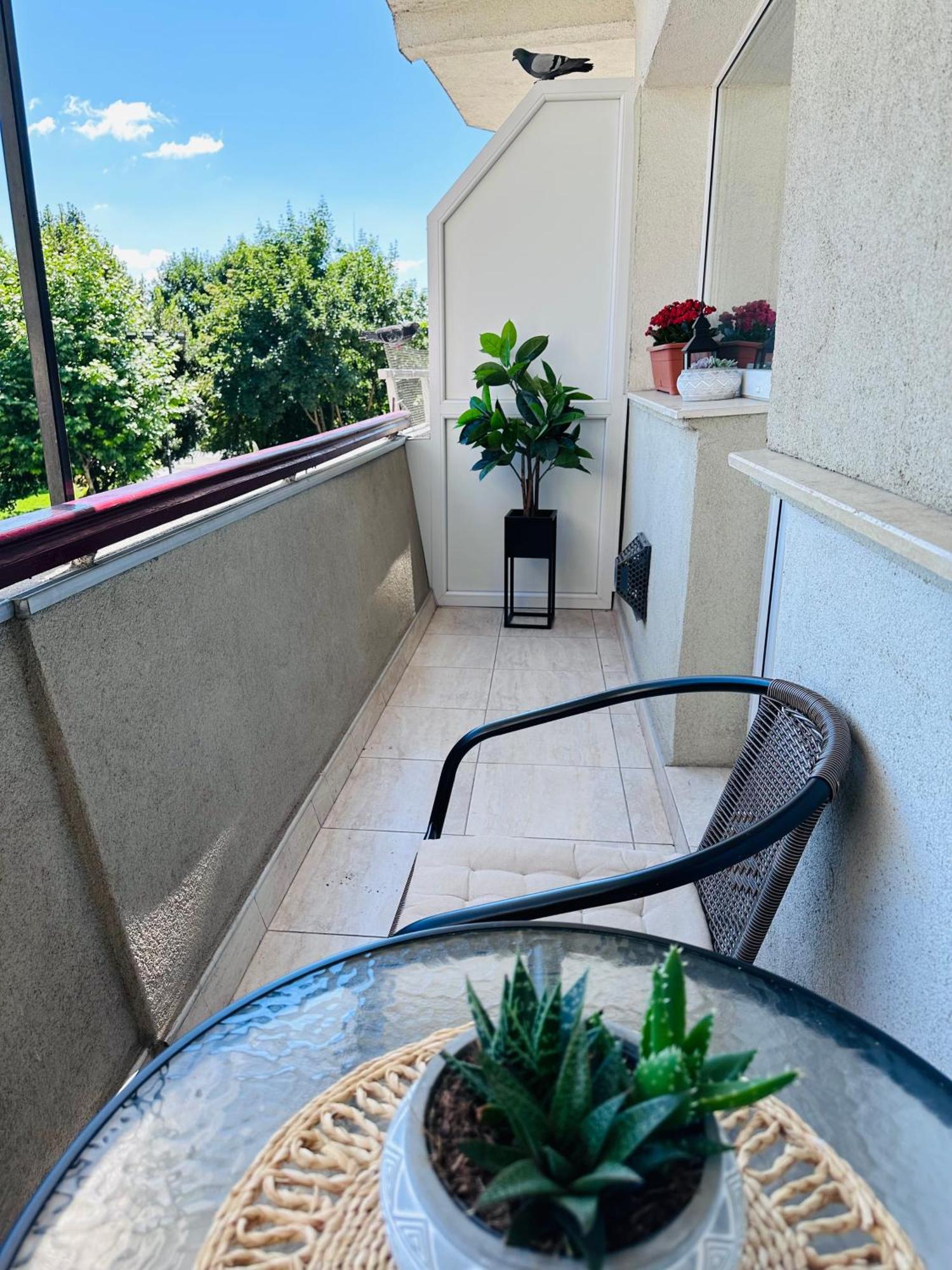 Studio Panoramic With Balcony And Parcul Unirii View Alba Iulia Buitenkant foto